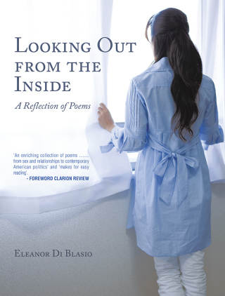 Cover image: Looking out from the Inside 9781543486377