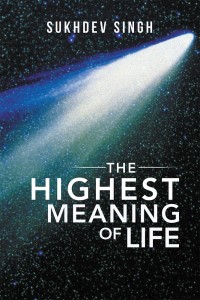 Omslagafbeelding: The Highest Meaning of Life 9781543487947