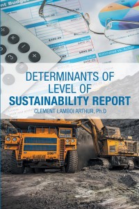 Cover image: Determinants of Level of Sustainability Report 9781543488524