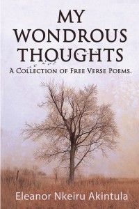 Cover image: My Wondrous Thoughts 9781543489538