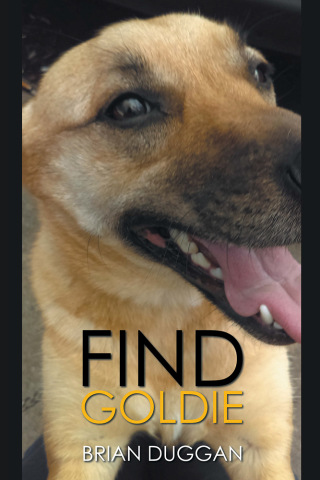 Imagen de portada: Find Goldie 9781543494136