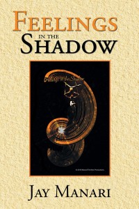 Cover image: Feelings in the Shadow 9781543494242