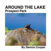 Omslagafbeelding: Around the Lake Prospect Park 9781543498172