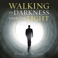 Cover image: Walking in Darkness Then the Light 9781543498318