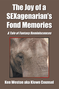 Cover image: The Joy of a Sexagenarian’s Fond Memories 9781543499209