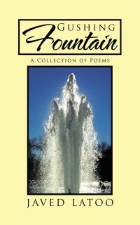 Omslagafbeelding: Gushing Fountain 9781543704716