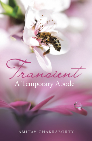 Imagen de portada: Transient – a Temporary Abode 9781543708448