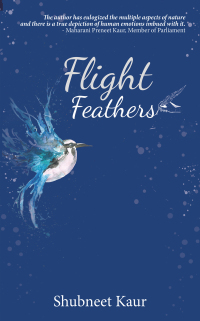 Cover image: Flight Feathers 9781543708479