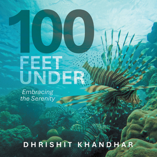 Cover image: 100 FEET UNDER 9781543710212