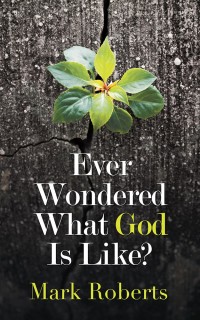 Imagen de portada: Ever Wondered What God Is Like? 9781543745726