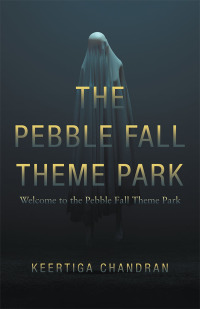 Cover image: The Pebble Fall Theme Park 9781543749731