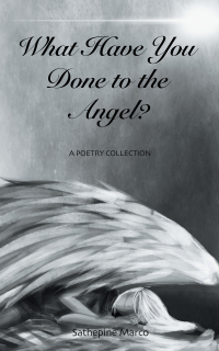 Cover image: What Have You Done to the Angel? 9781543750461