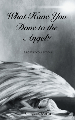 Imagen de portada: What Have You Done to the Angel? 9781543750461