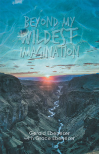 Cover image: Beyond My Wildest Imagination 9781543752991