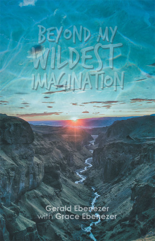 Cover image: Beyond My Wildest Imagination 9781543752991