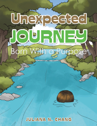 Cover image: Unexpected Journey 9781543763041