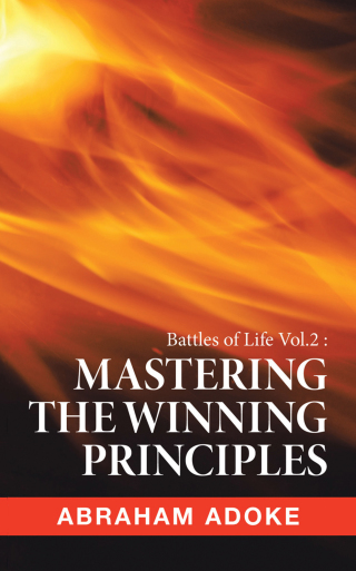表紙画像: Mastering the Winning Principles 9781543764437
