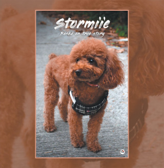 Cover image: Stormiie 9781543769012