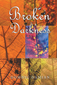 Cover image: Broken Darkness 9781543769166