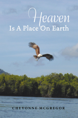 表紙画像: Heaven Is A Place On Earth 9781543769654