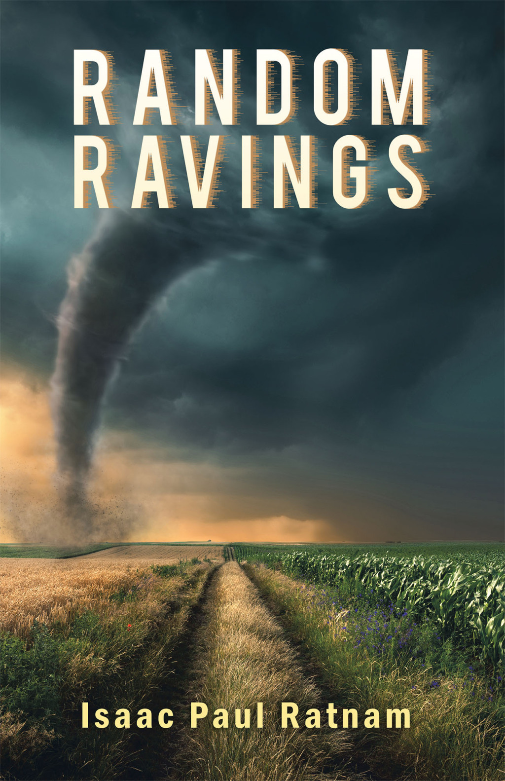Random Ravings (eBook)