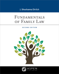 Imagen de portada: Fundamentals of Family Law 2nd edition 9781543801620