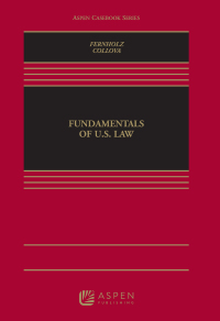 Imagen de portada: Fundamentals of U.S. Law 1st edition 9781543829525