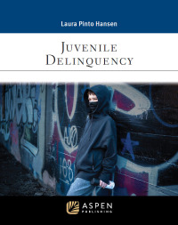 Omslagafbeelding: Juvenile Delinquency 1st edition 9781543856248