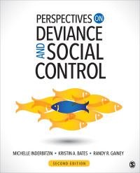 Immagine di copertina: Perspectives on Deviance and Social Control 2nd edition 9781544308081