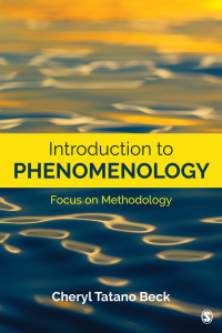 Omslagafbeelding: Introduction to Phenomenology 1st edition 9781544319551