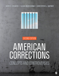 Omslagafbeelding: American Corrections: Concepts and Controversies Interactive Edition 2nd edition 9781544319834
