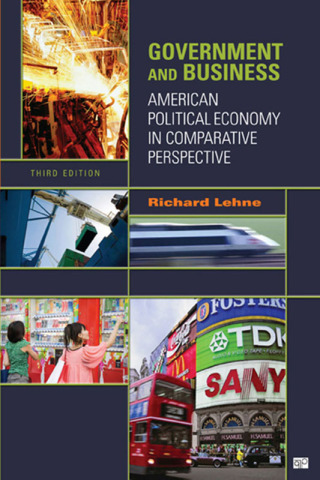 Cover image: Government and Business 3rd edition 9781608710171