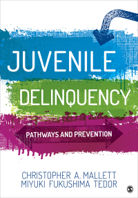 Cover image: Juvenile Delinquency: Pathways and Prevention 1st edition 9781506361024