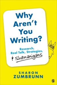 Imagen de portada: Why Aren’t You Writing? 1st edition 9781544341156