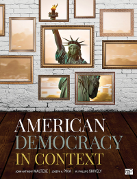 Cover image: American Democracy in Context 1st edition 9781544345222