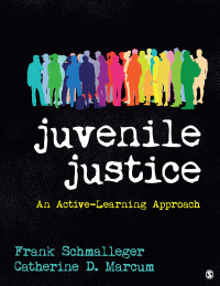 صورة الغلاف: Juvenile Justice: An Active-Learning Approach 1st edition 9781544300412