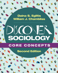 表紙画像: Discover Sociology: Core Concepts 2nd edition 9781544372327