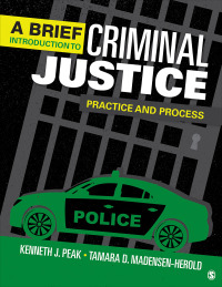 Titelbild: A Brief Introduction to Criminal Justice 1st edition 9781544373287