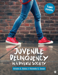 Imagen de portada: Juvenile Delinquency in a Diverse Society 3rd edition 9781544375434