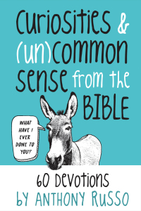 Cover image: Curiosities and (Un)common Sense from the Bible 9781546015024