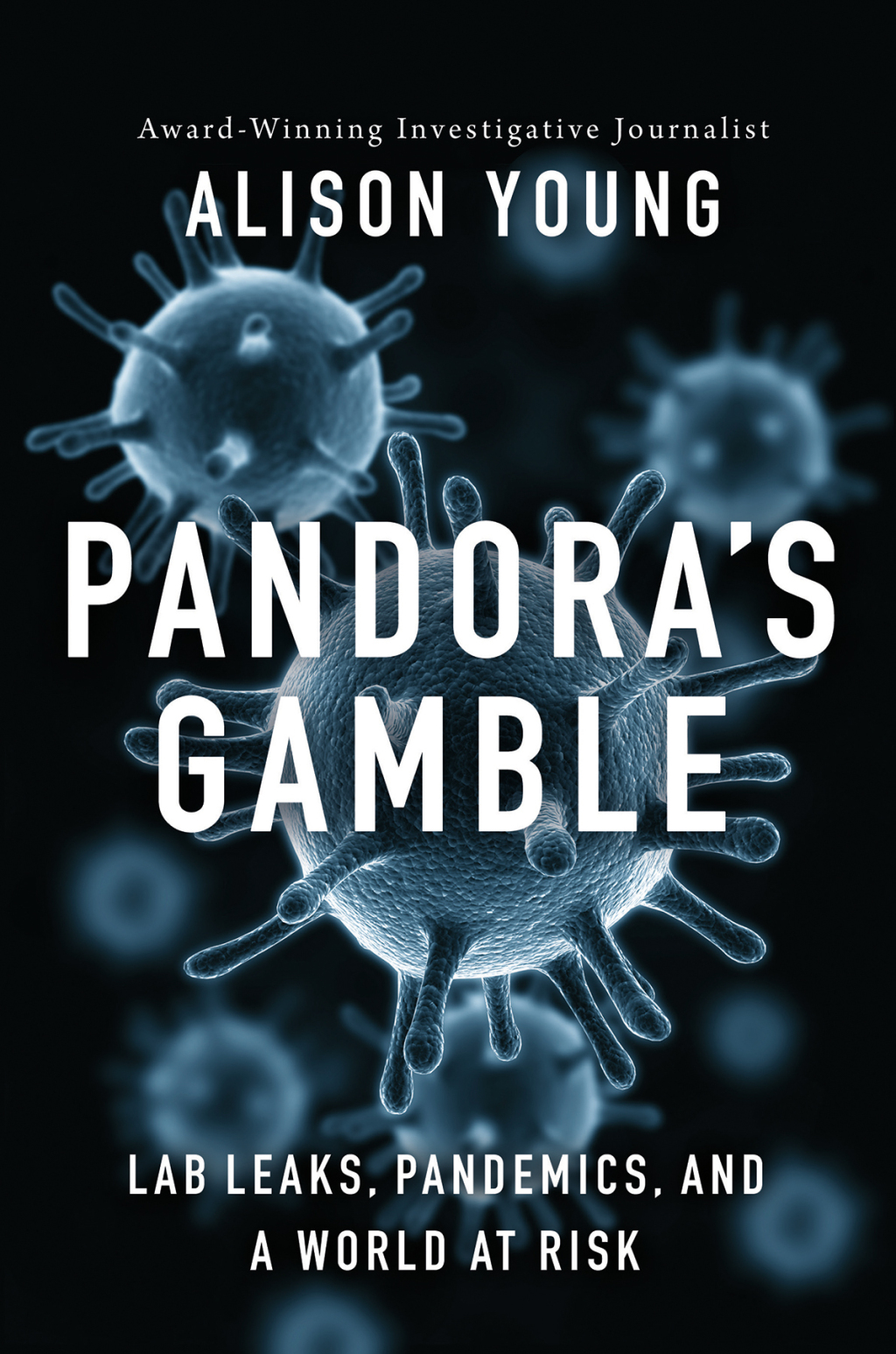 Pandoras Gamble eBook
