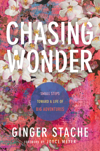 Cover image: Chasing Wonder 9781546029472