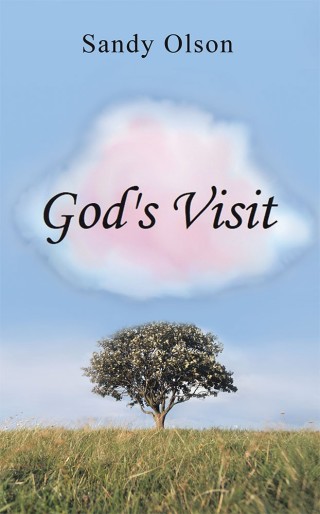 Imagen de portada: God’s Visit 9781546213178