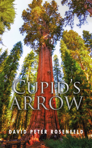 Imagen de portada: Cupid’s Arrow 9781546221883