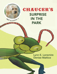 Cover image: Chaucer’S Surprise in the Park 9781546229544