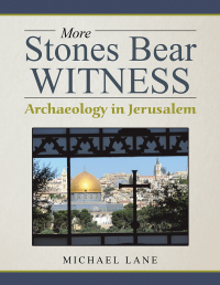 Cover image: More Stones Bear Witness 9781546240983