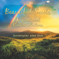 Cover image: Beautiful Souls 9781546243755