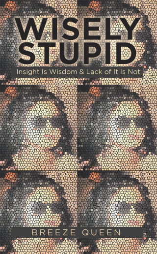 Imagen de portada: Wisely Stupid 9781546256113
