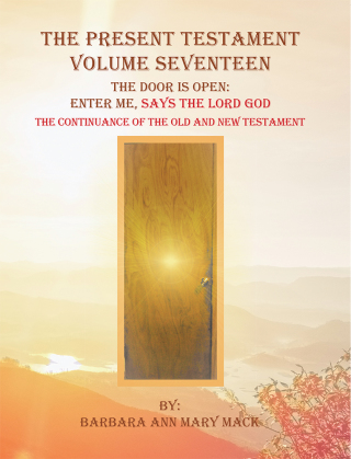 Cover image: The Present Testament Volume Seventeen 9781546257141