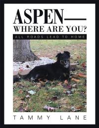 Cover image: Aspen—Where Are You? 9781546260400